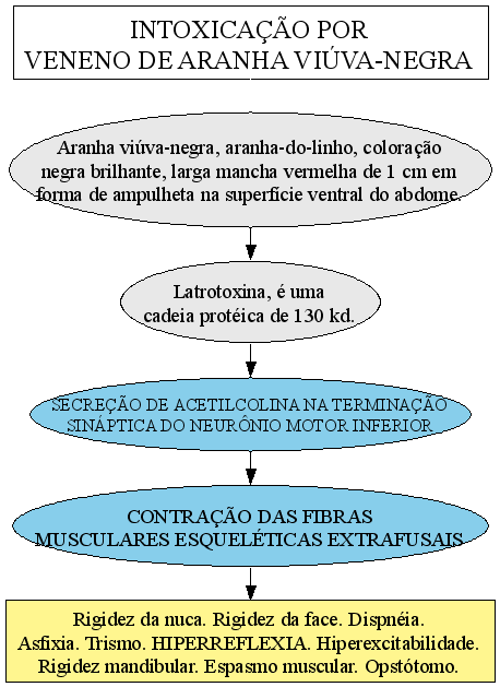 mi a hipertónia orvossága lehetséges-e hipertóniával szolgálni