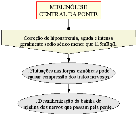 magas vérnyomás fotofóbia echinacea hipertónia