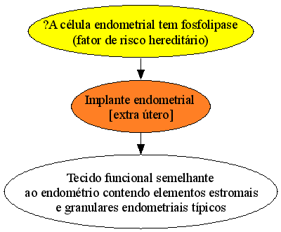 Doença de Niemann-Pick tipo A: mancha vermelho-cereja e regressão