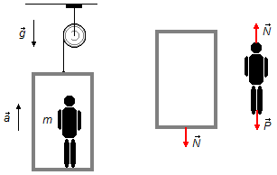 Homem de massa m num elevador com aceleração ascendente a e sob ação da aceleração da gravidade g, no elevador atua a força normal devido ao homem e no homem a sua força peso e a força normal devido ao elevador.